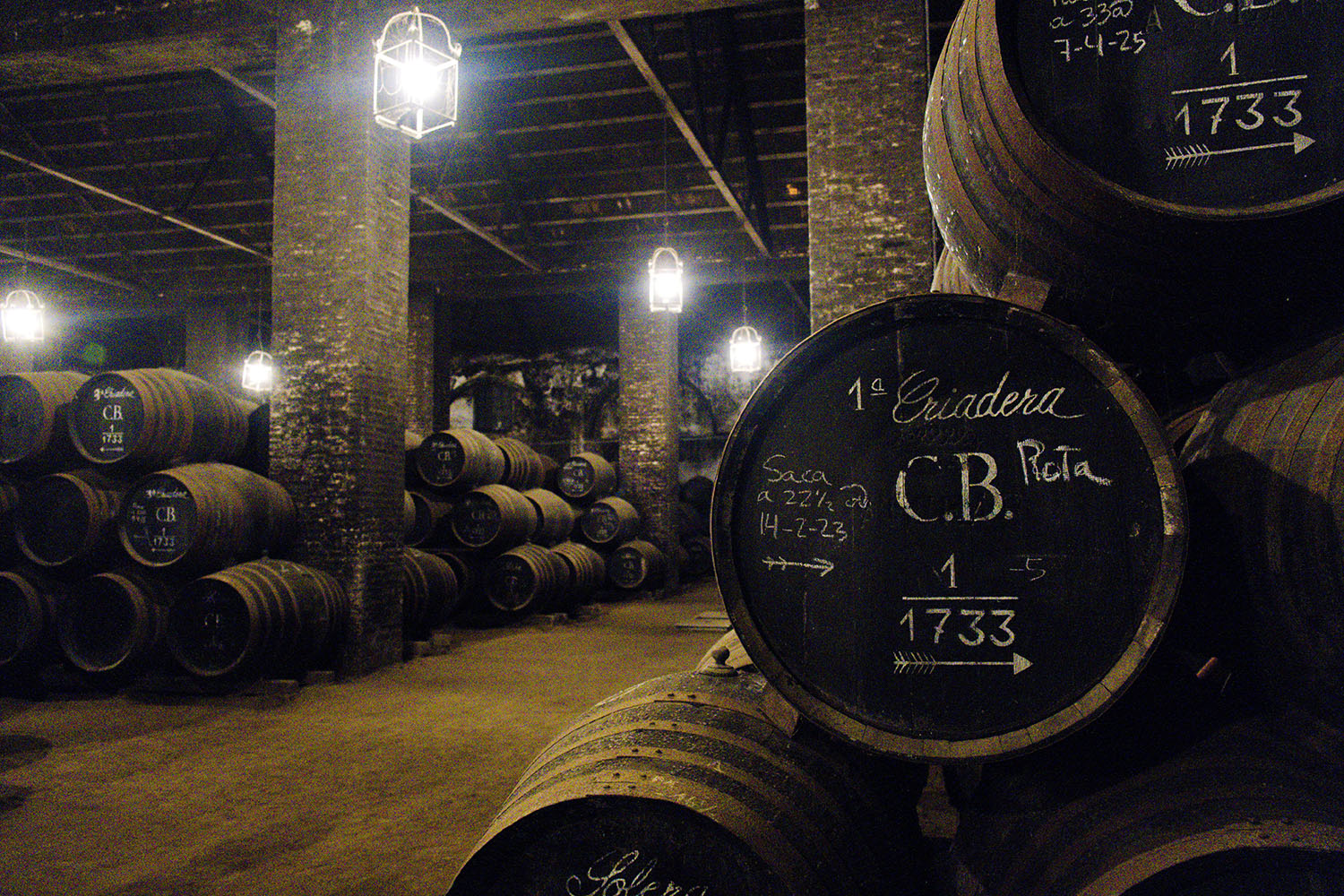 Bodegas y Lagares