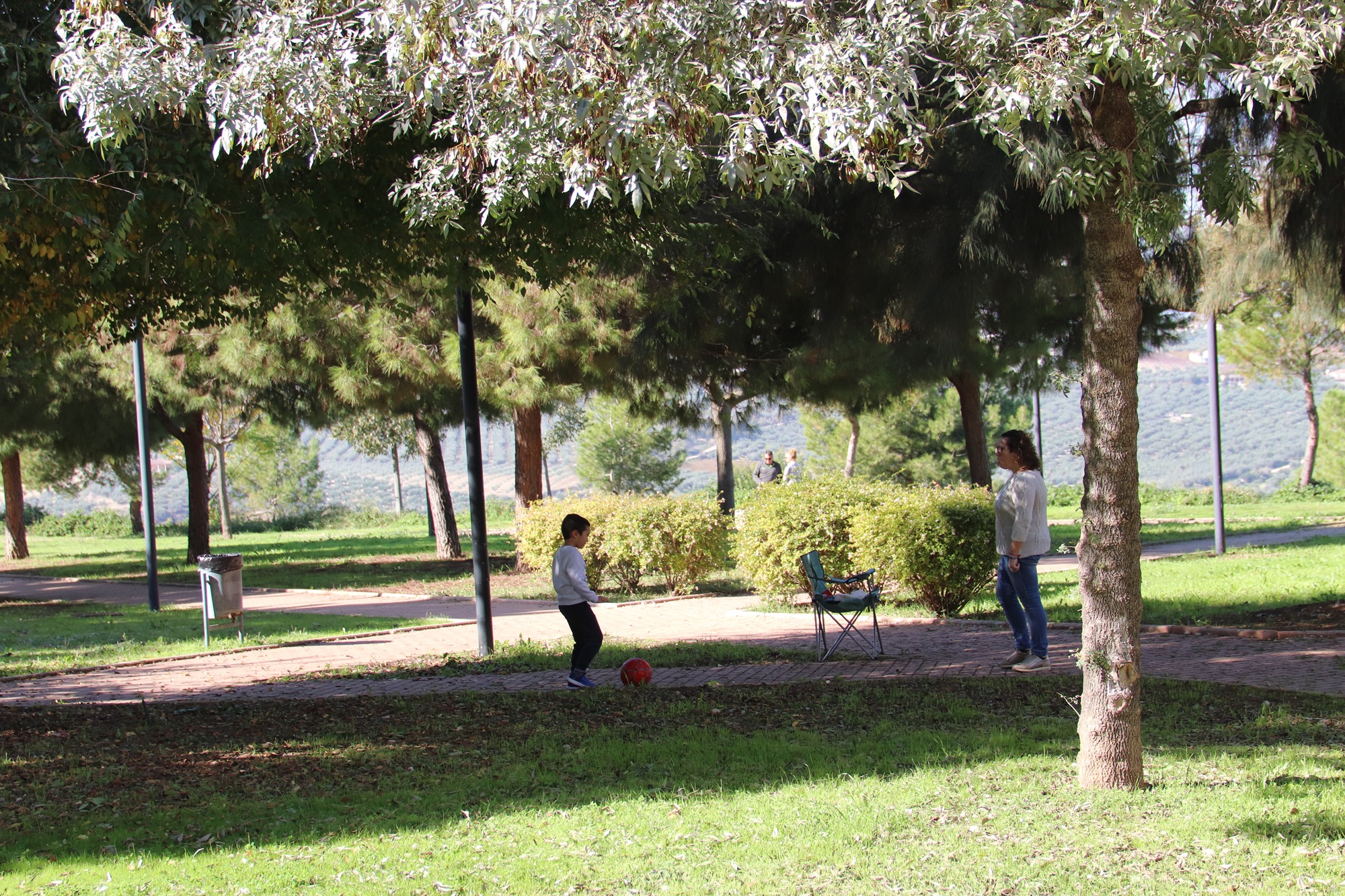 Parques y Jardines